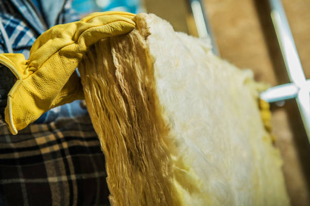 Insulation Repair Services in Evergreen, AL